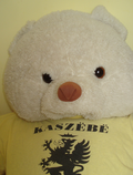 Zdjęcie