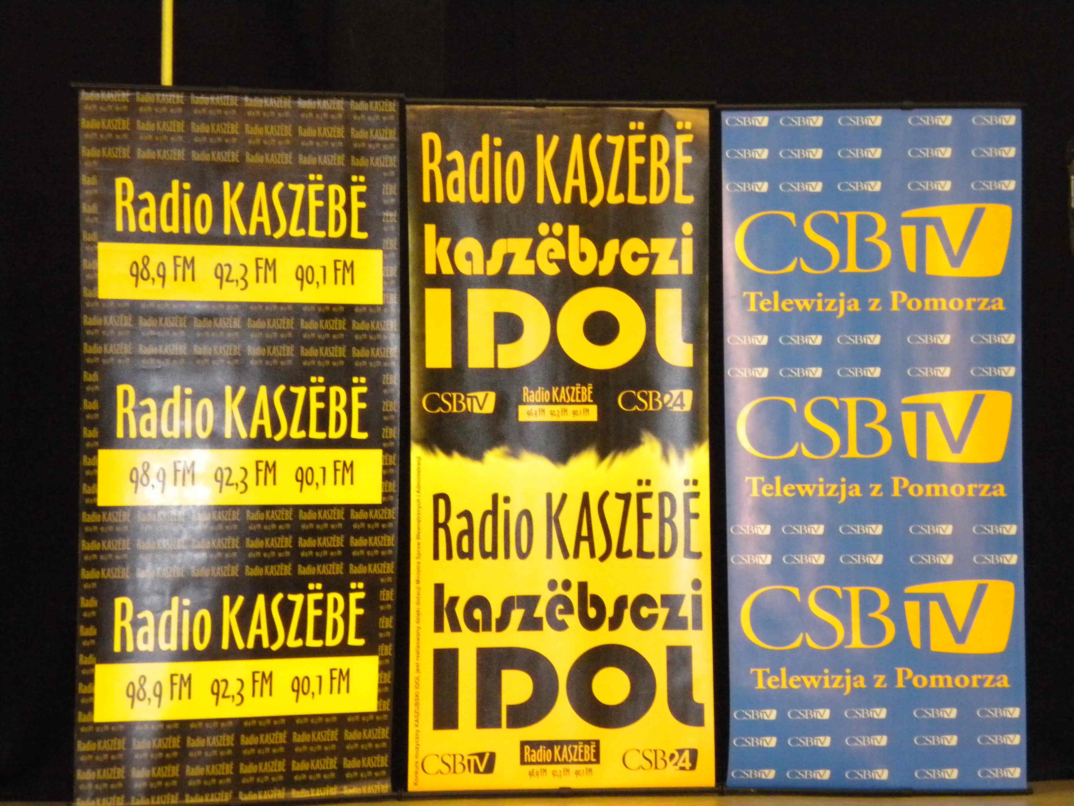 Kaszubski Idol. Przesłuchania wstępne