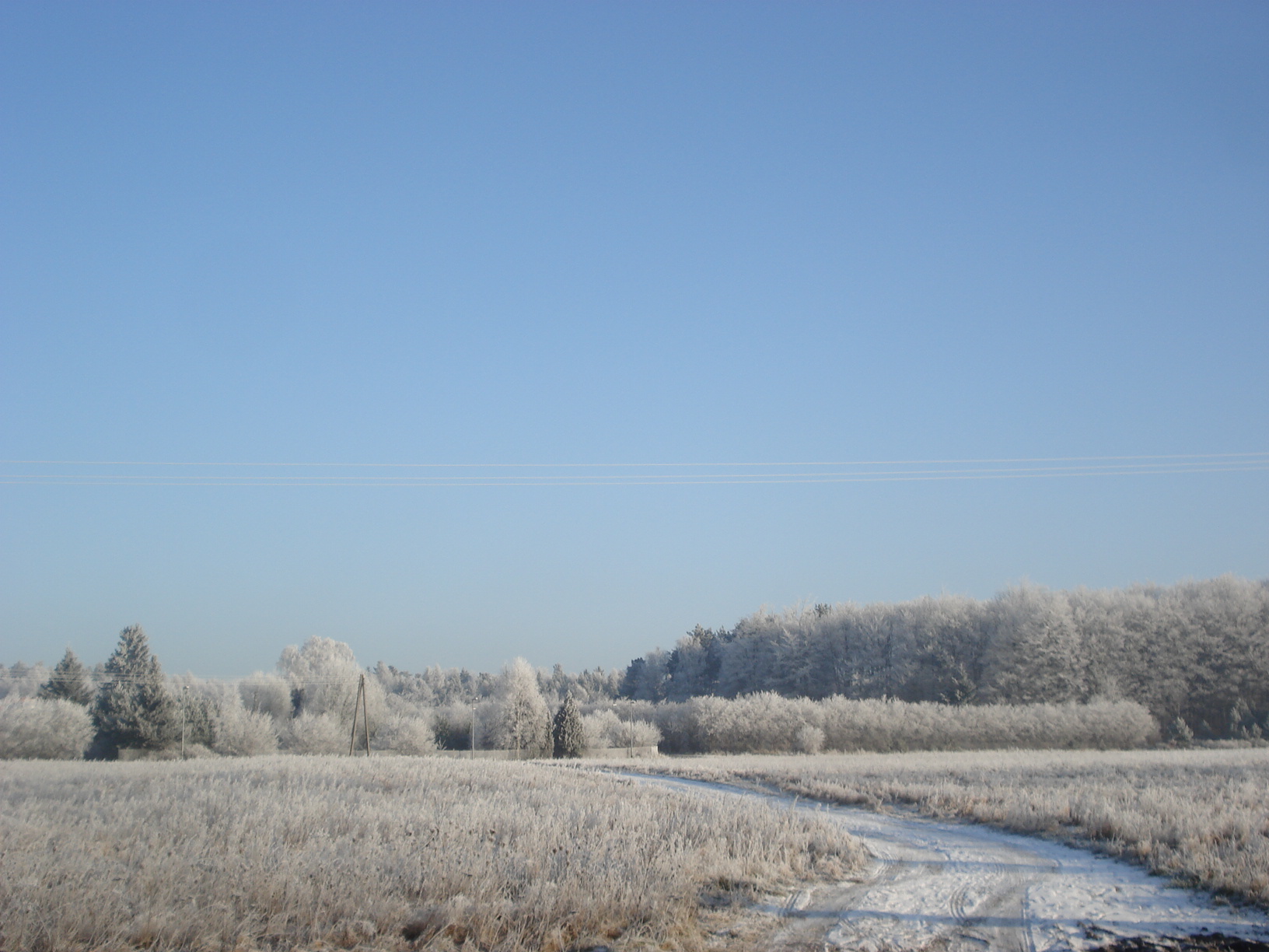 Książka Przemysława Łagosza. Szopa